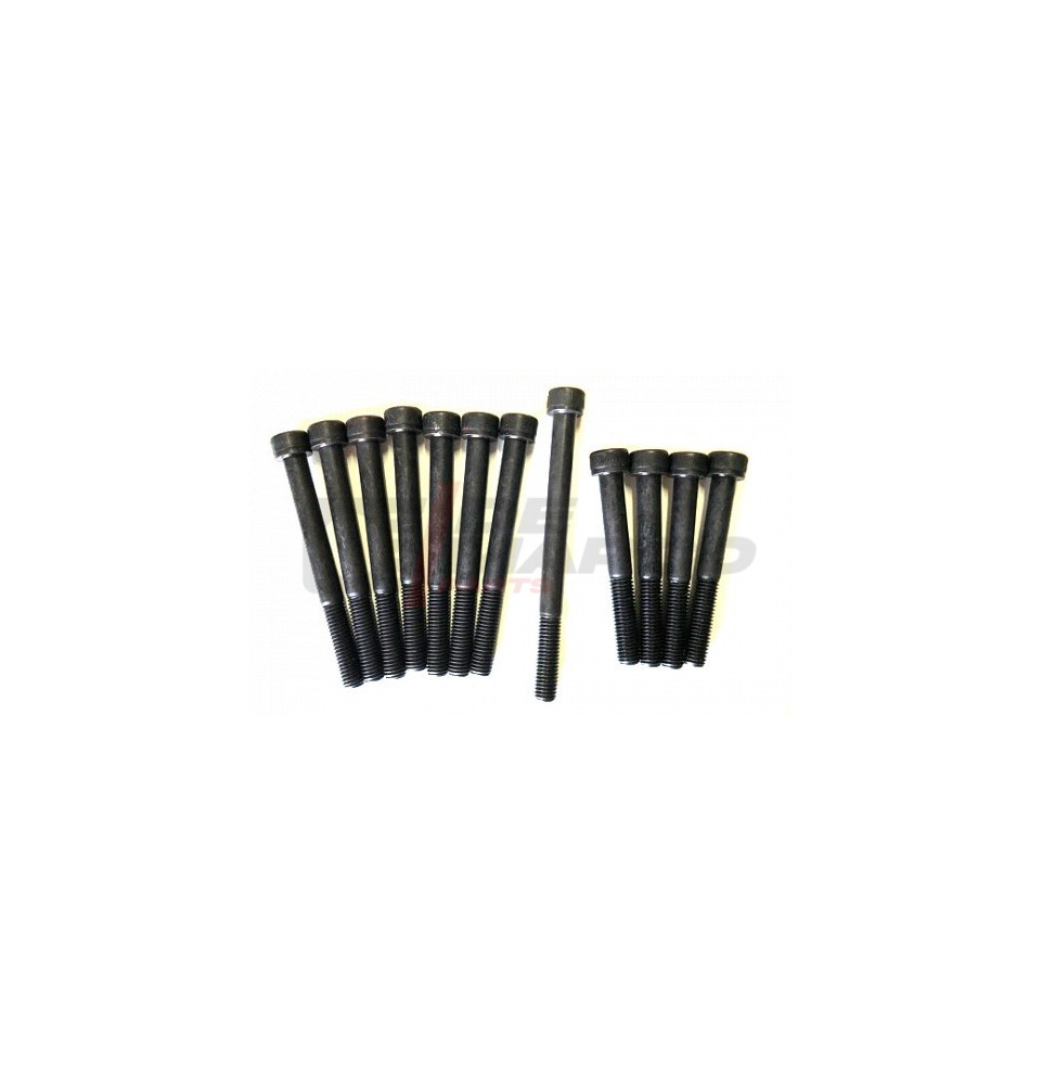 Juego de 12 tornillos de fijación de culata R4 845cc, R5, R6