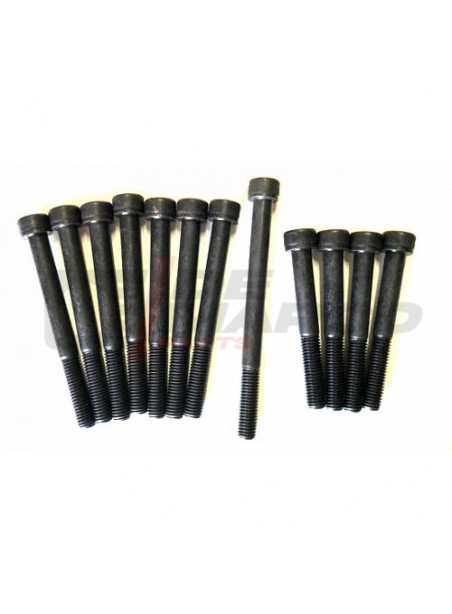 Juego de 12 tornillos de fijación de culata R4 845cc, R5, R6