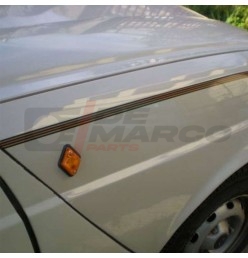Calcomanías para el parachoques delantero del Renault 4 Savane