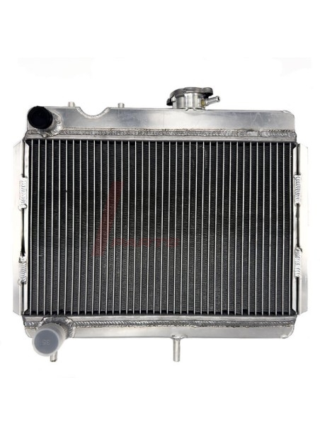 Aluminum Cooling Radiator for Renault 4 845cc