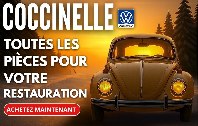 pièces de rechange pour coccinelle de de marco parts